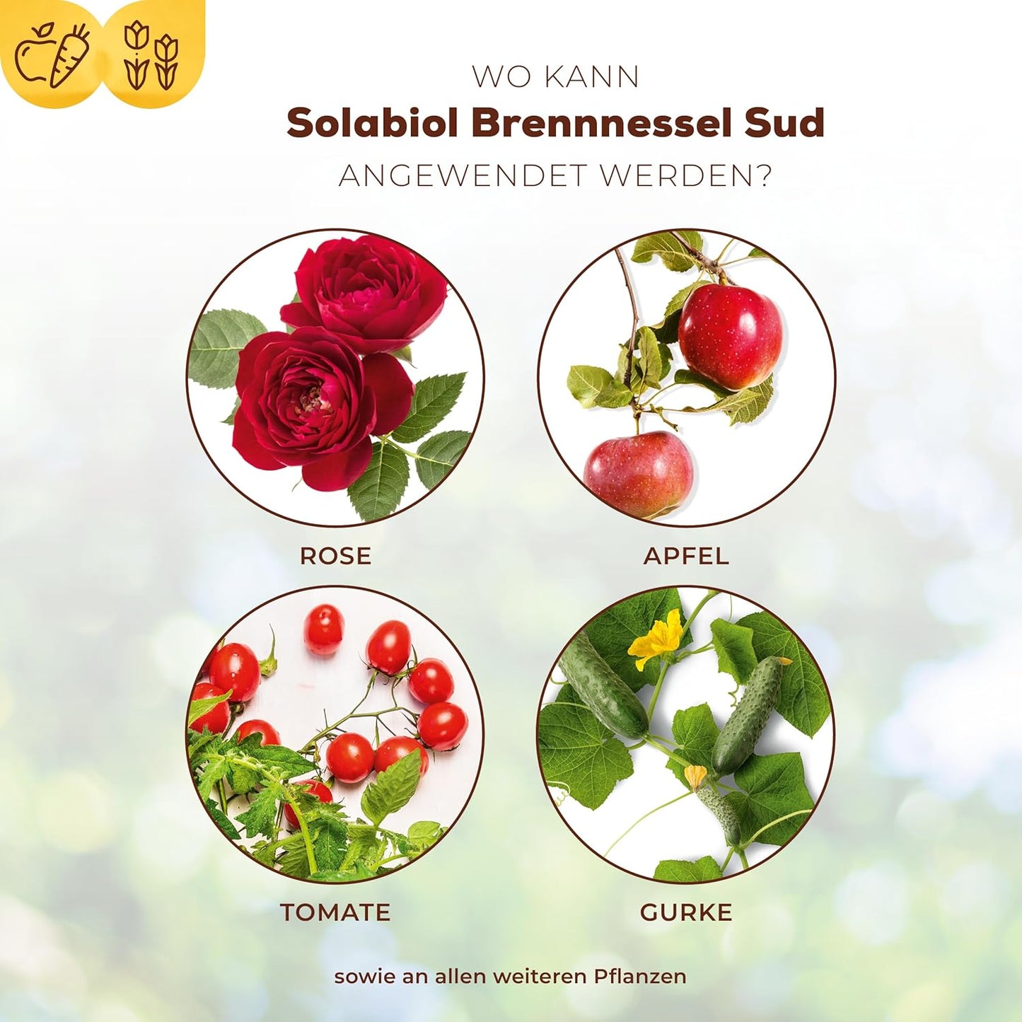 Solabiol Brennnessel Sud